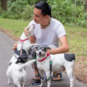 Dog Walking | Gainesville Pet Sitting